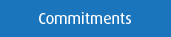 Commitments