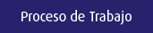 Proceso de Trabajo