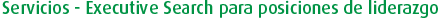 Servicios - Executive Search para posiciones de liderazgo